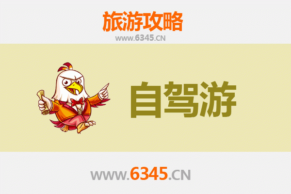 海北门源家庭自驾游攻略：金色花海与高原风情的完美之旅