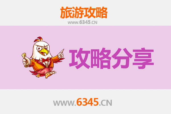 海北门源至湄洲岛旅游攻略：跟团还是自由行深度解析