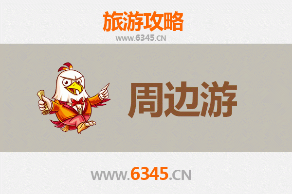 海北门源周边游攻略：油菜花海与高原风情的完美邂逅