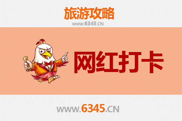 海北门源网红打卡地全攻略：金色花海与高原秘境的极致体验