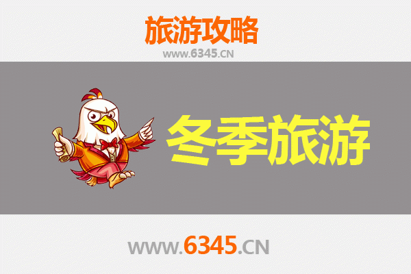海北门源冬季旅游攻略：雪域秘境与高原风情的完美邂逅